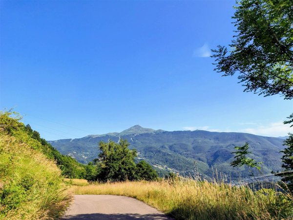 casa semindipendente in vendita a Riolunato