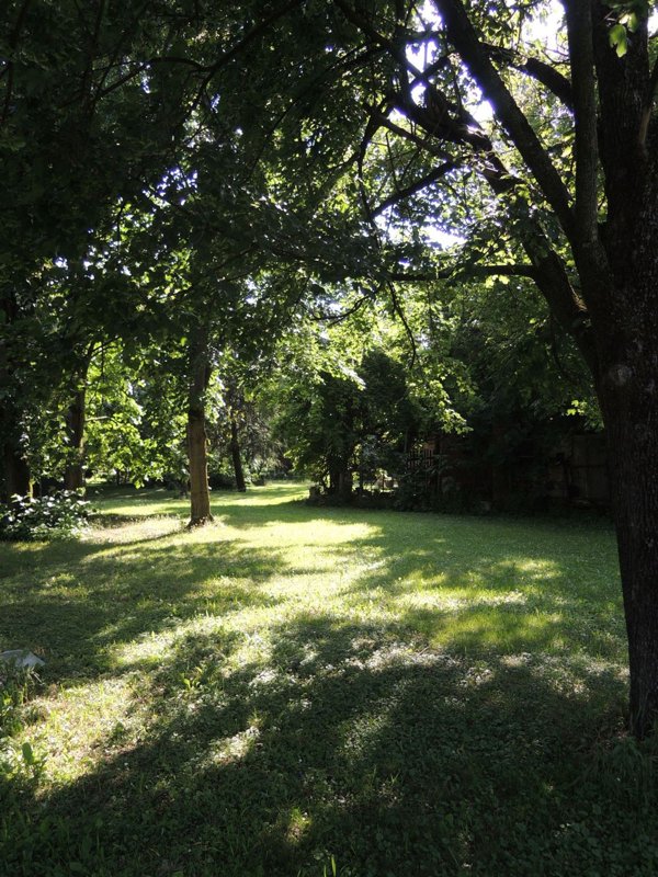 casa indipendente in vendita a San Cesario sul Panaro