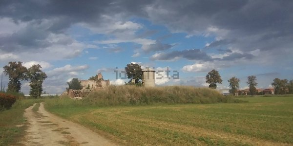esavano in vendita a San Cesario sul Panaro