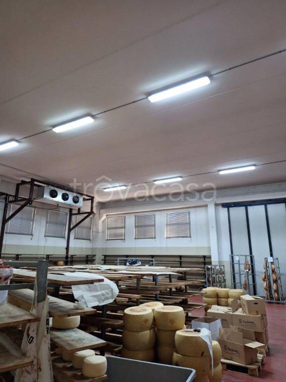 capannone in vendita a San Cesario sul Panaro