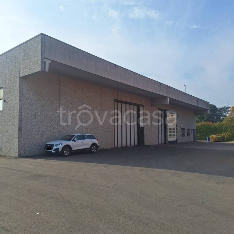 capannone in vendita a San Cesario sul Panaro