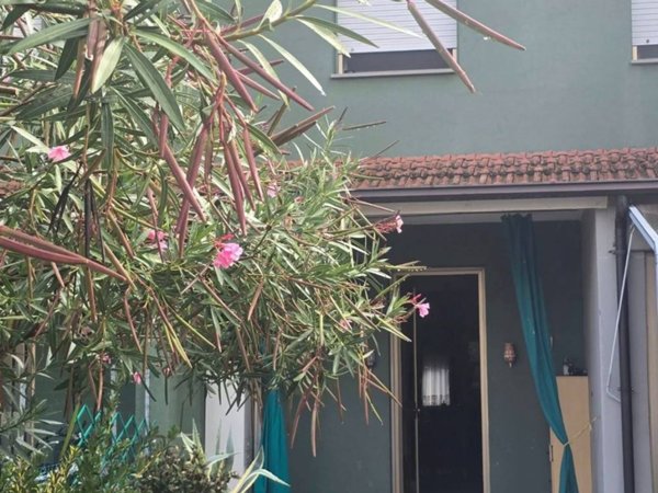 casa indipendente in vendita a San Cesario sul Panaro