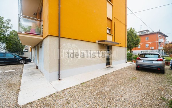 appartamento in vendita a San Cesario sul Panaro