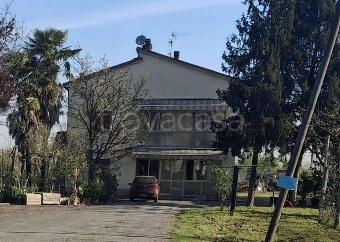 appartamento in vendita a San Cesario sul Panaro in zona Altolà