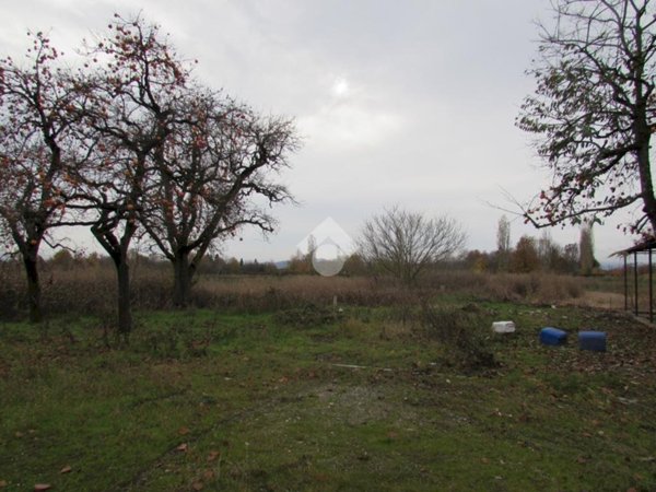 terreno agricolo in vendita a San Cesario sul Panaro in zona Altolà