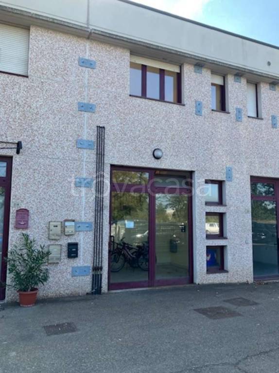 negozio in vendita a San Felice sul Panaro
