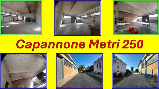 locale commerciale in vendita a San Felice sul Panaro