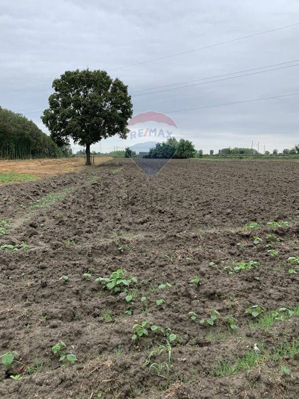 pentavano in vendita a San Felice sul Panaro