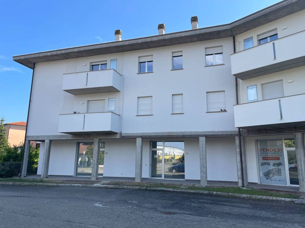 appartamento in vendita a San Felice sul Panaro