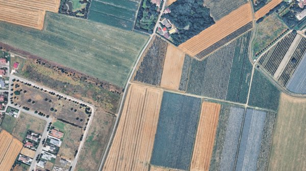 terreno edificabile in vendita a San Felice sul Panaro