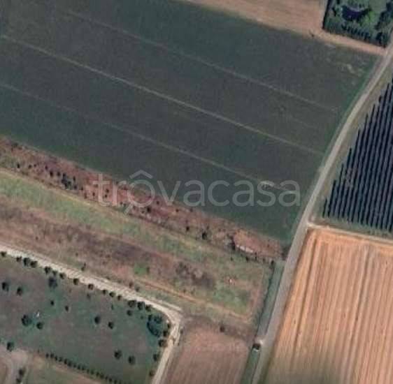 appartamento in vendita a San Felice sul Panaro