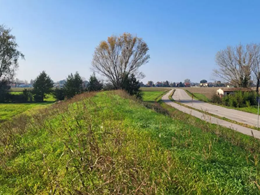 terreno edificabile in vendita a San Felice sul Panaro