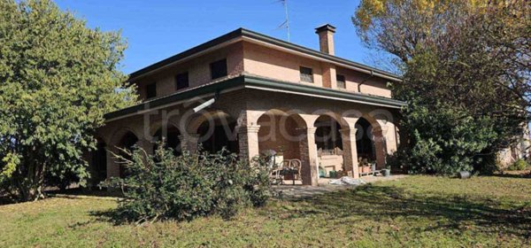 negozio in vendita a San Felice sul Panaro