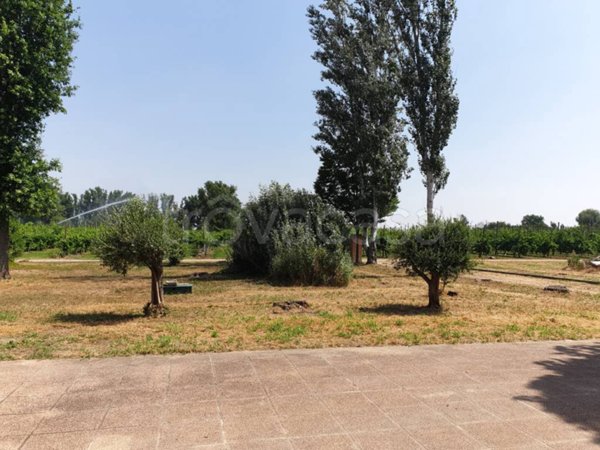 casa indipendente in vendita a San Possidonio