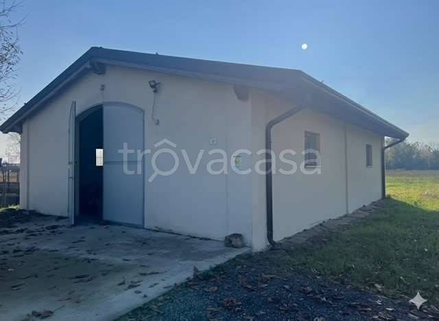 terreno agricolo in vendita a San Possidonio