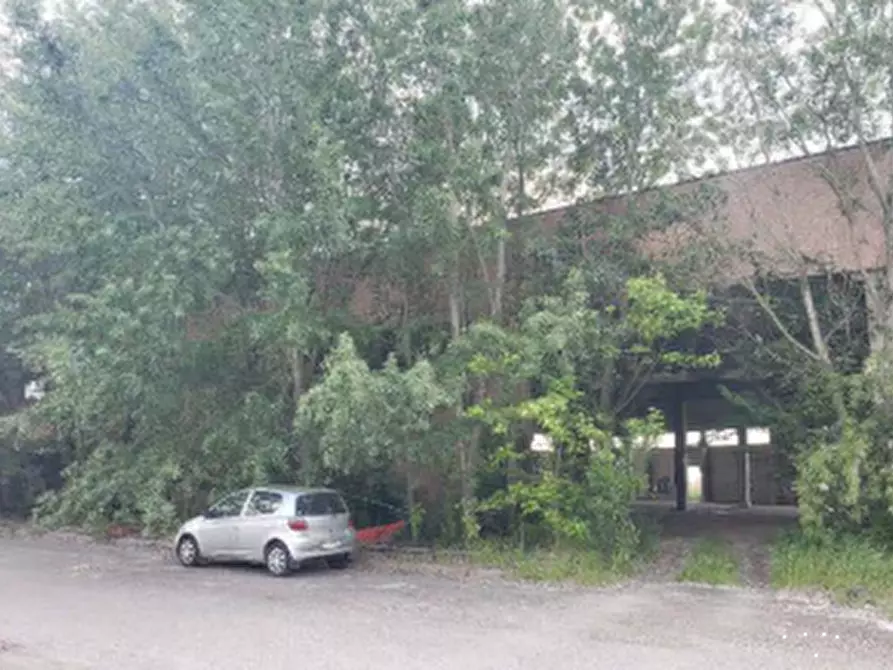 capannone in vendita a San Possidonio