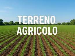 azienda agricola in vendita a San Possidonio