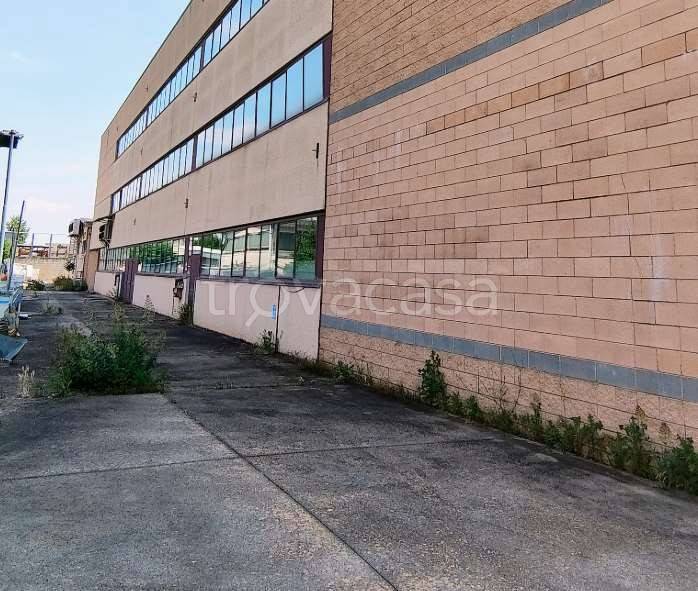 locale commerciale in vendita a San Possidonio