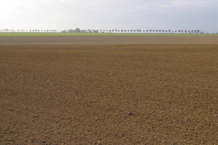 terreno edificabile in vendita a San Possidonio