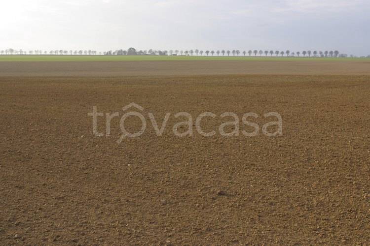 terreno edificabile in vendita a San Possidonio
