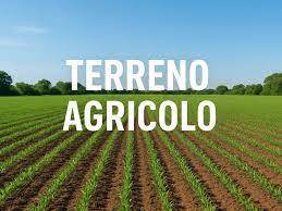 terreno agricolo in vendita a San Possidonio