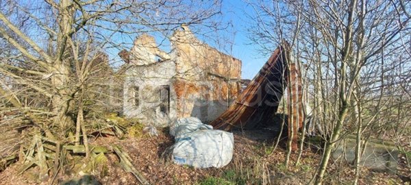 terreno agricolo in vendita a San Possidonio