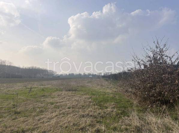 terreno agricolo in vendita a San Possidonio