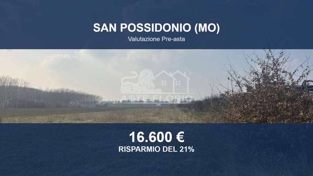 terreno agricolo in vendita a San Possidonio