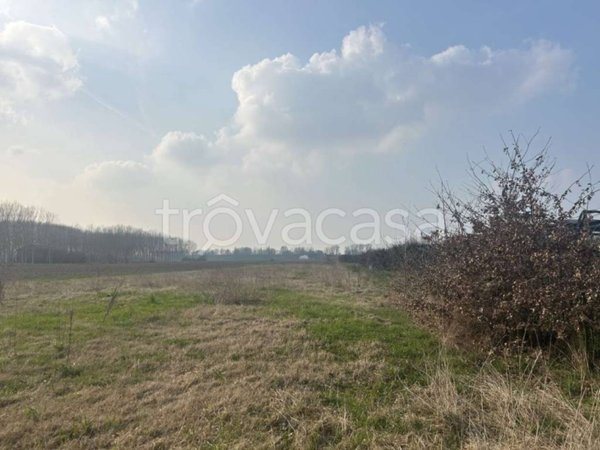 terreno agricolo in vendita a San Possidonio
