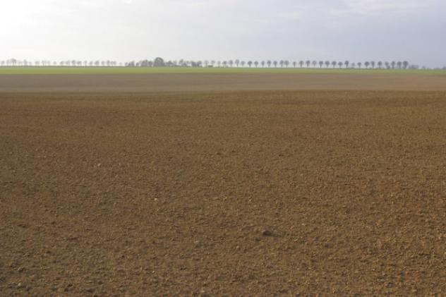 terreno edificabile in vendita a San Prospero