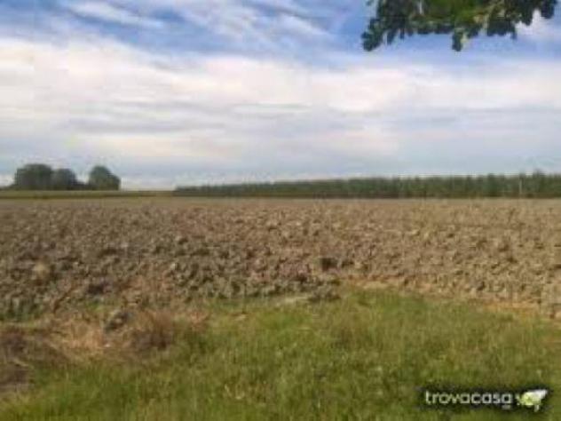 terreno agricolo in vendita a San Prospero