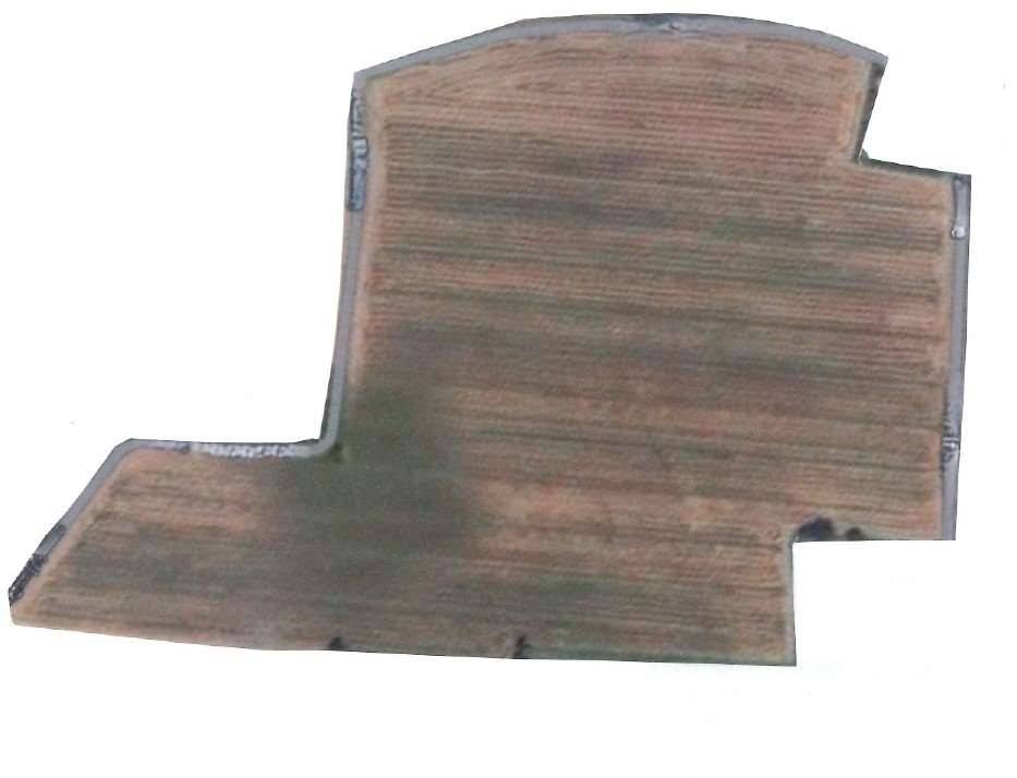 terreno agricolo in vendita a San Prospero