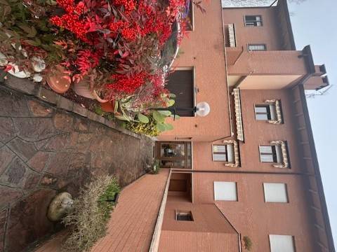 casa indipendente in vendita a San Prospero