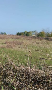 terreno agricolo in vendita a San Prospero