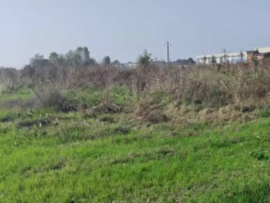 terreno agricolo in vendita a San Prospero