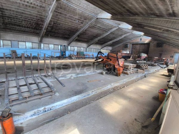 terreno agricolo in vendita a San Prospero