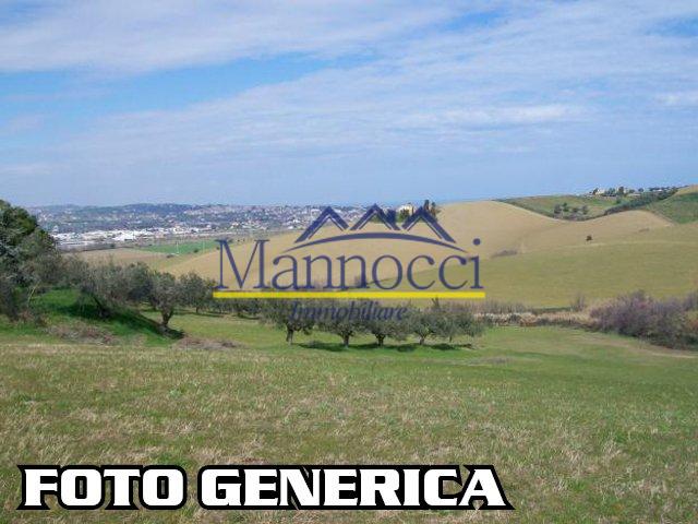 terreno agricolo in vendita a San Prospero