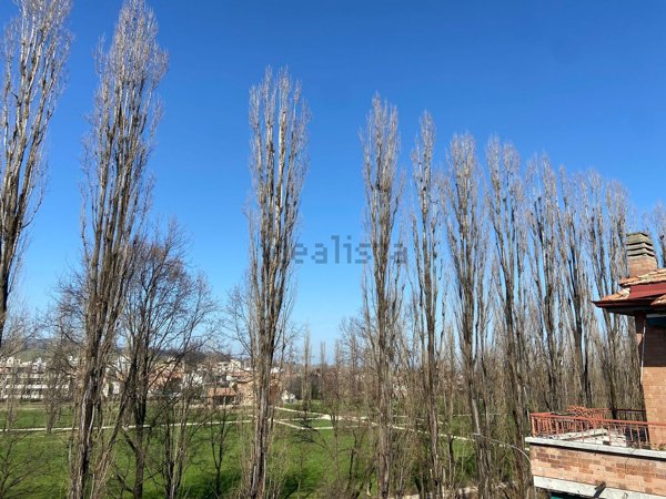 appartamento in vendita a Sassuolo in zona Centro Storico / San Giorgio