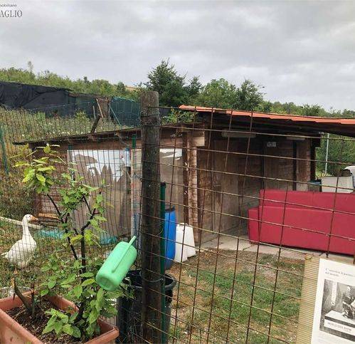 terreno agricolo in vendita a Sassuolo