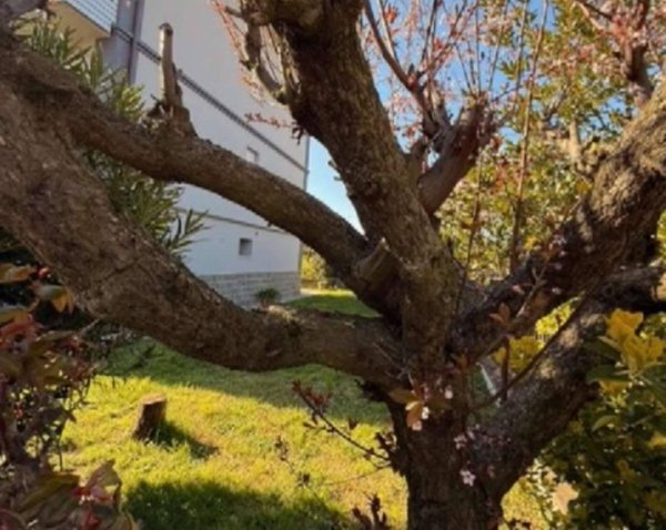 casa indipendente in vendita a Sassuolo