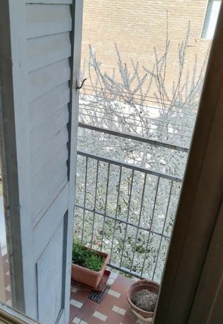 appartamento in vendita a Sassuolo