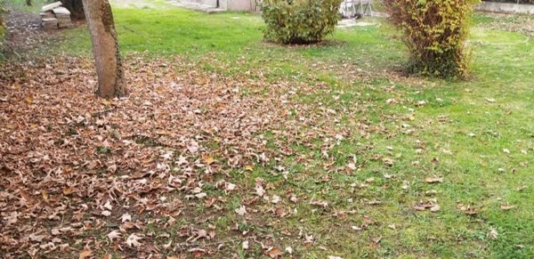 casa indipendente in vendita a Sassuolo