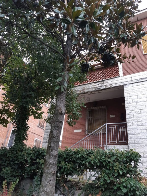 casa indipendente in vendita a Sassuolo