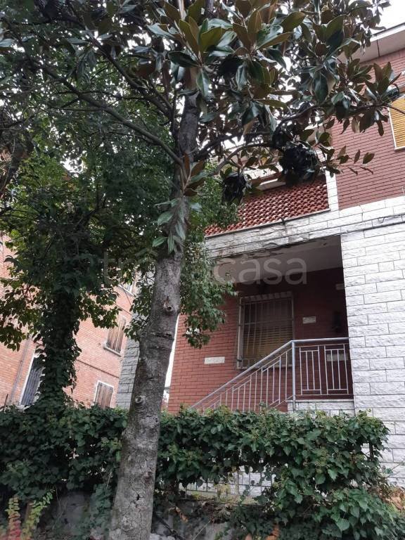 casa indipendente in vendita a Sassuolo in zona Centro Storico / San Giorgio