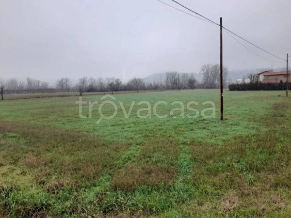terreno agricolo in vendita a Sassuolo in zona San Michele dei Mucchietti