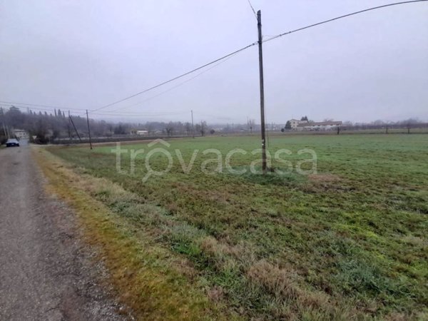 terreno agricolo in vendita a Sassuolo in zona San Michele dei Mucchietti