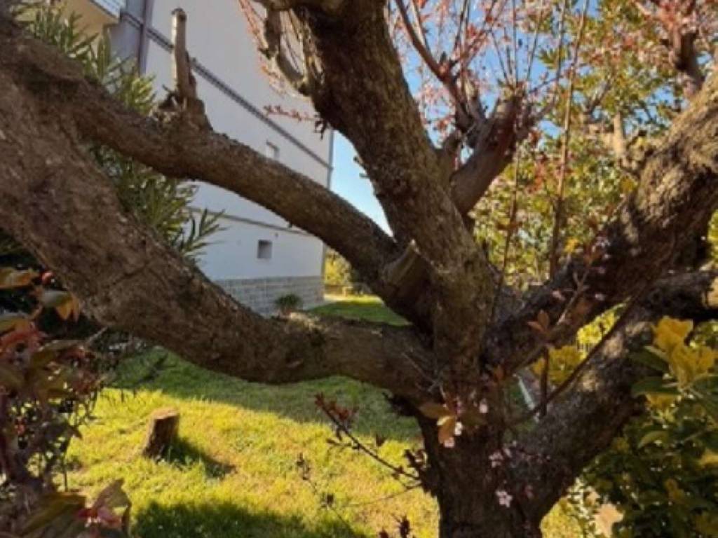 casa indipendente in vendita a Sassuolo