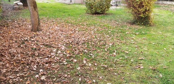 casa indipendente in vendita a Sassuolo