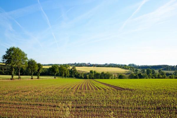 terreno agricolo in vendita a Sassuolo