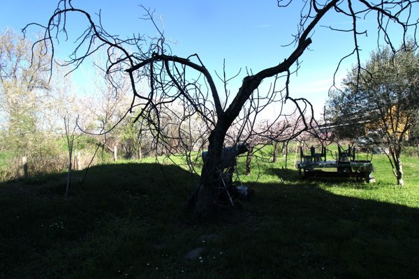 appartamento in vendita a Sassuolo